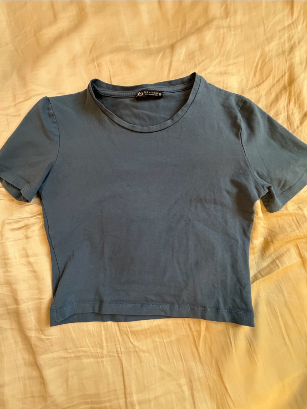 Zara Short Sleeve Cropped Tee in Blue